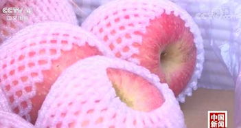 記者探秘 水果價格為何比肉貴？果市‘漲聲一片’背后真相解密