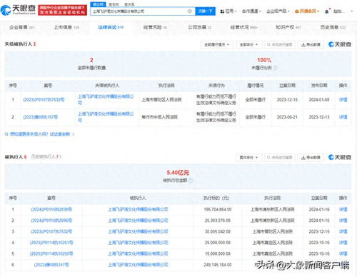 驢媽媽關聯公司成老賴，累計被執行超5.4億，旅客票務代理風險頻發