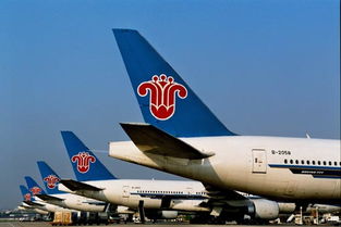 南航曝光并重拳整治不法票務(wù)代理 維護(hù)旅客權(quán)益，刻不容緩